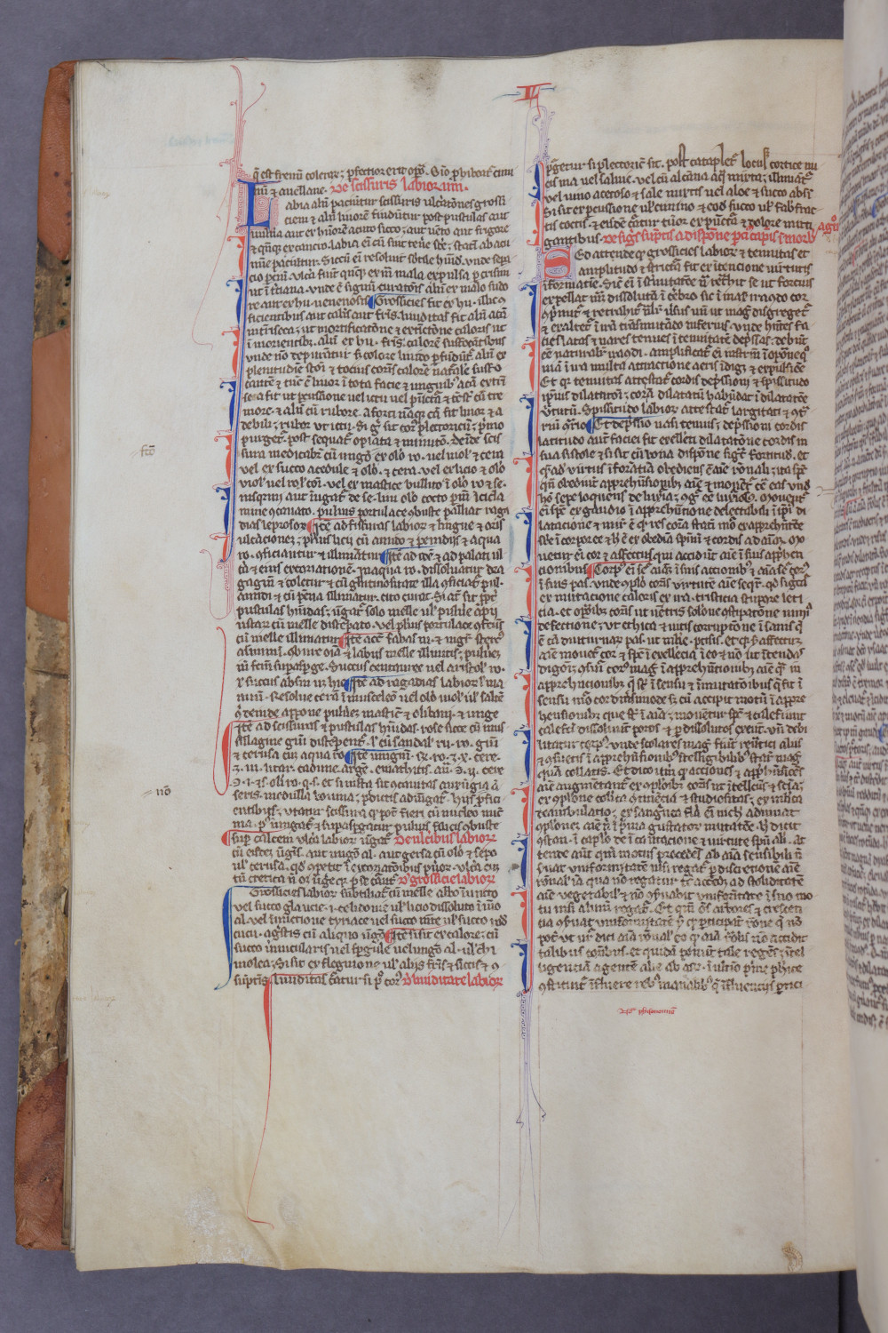 Folio 72 verso